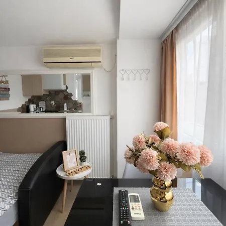 Apartamento Nilton 2 Apartmans Ni