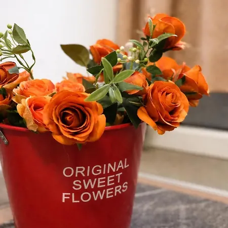 Nilton 2 Apartmans * Ni